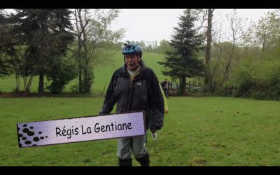regis