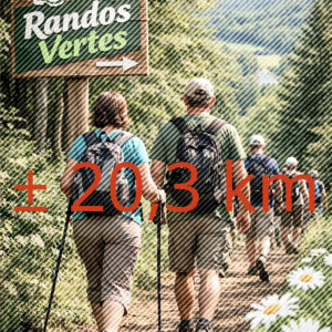 20km marche